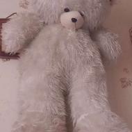 خرس شاسخین سفید بزرگ