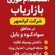 استخدام ویزیتور در شرکت کیانمهر با حقوق و مزایای عالی