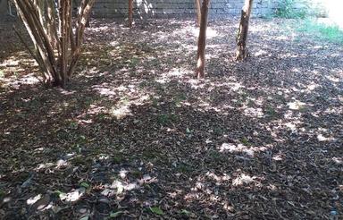 زمین 218 متری مرکز شهر بندر انزلی غازیان جنب آقا سید نجفی