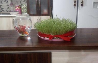 خانه تازه ساخت روستایب