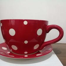 فنجان نعلبکی دکوری