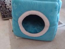 جای خواب پت در شیپور