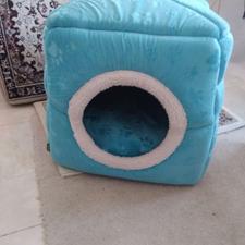 جای خواب پت