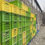 سبد پلاستیکی