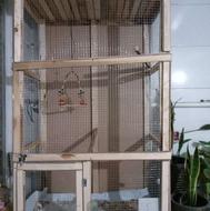 قفس پرنده بزرگ سالم