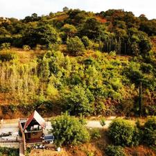 ویا جنگلی ویو عالی