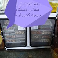 اجاره دستگاه جوجه کشی تمام اتوماتیک