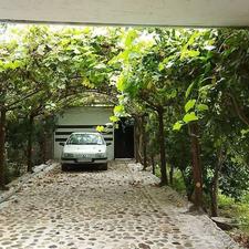 خونه باغ بسیارتمیز