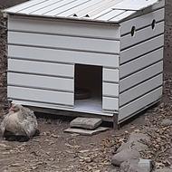 خانه سگ یا حیوانات