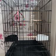 دو عدد قفس مشکی و طلایی