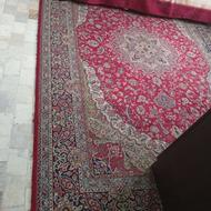 فرش 6 متری قرمز لاکی ب همراه تخت فلزی