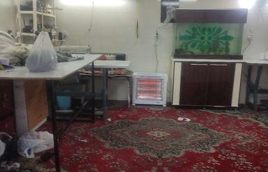 مغازه در باغ معروف