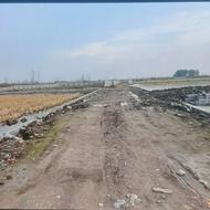 2288 متر سند شش دانگ دارد