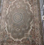 فرش پاتریس 9متری