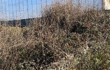 فروش زمین مسکونی 105 متر در خیابان کفشگرکلا