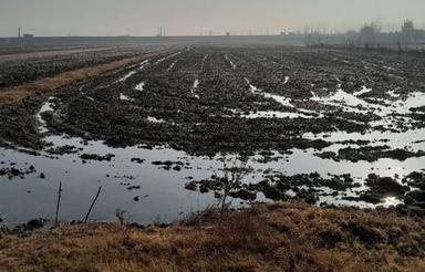 فروش زمین کشاورزی 6700 متر در تنبلا