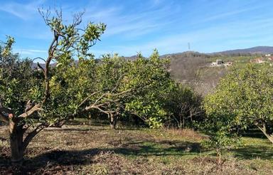 180 متر زمین روستای ترم قبل شکتا الحاق به بافت