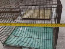 قفس کفتر قفس قناری قفس فنج قفس موش قفس بزرگ در شیپور
