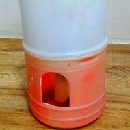 جای آب کبوتر