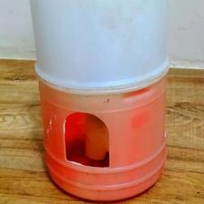 جای آب کبوتر