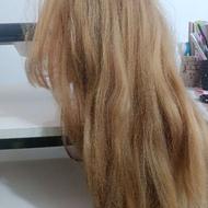 کله مانکن سالم و نو با موی تقریبا متوسط