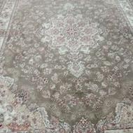 فرش دوازده متری رنگ گردویی