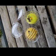 انواع موچی با بهترین کیفیت