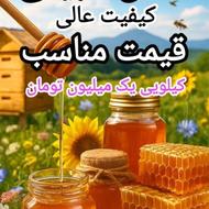 عسل طبیعی 1