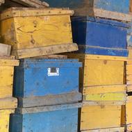 کندو زنبور عسل