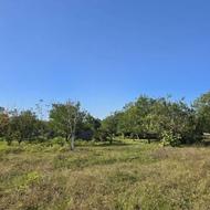 فروش فوری زمین داخل بافت بند پی شرقی