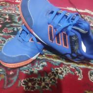 کتونی ورزشی