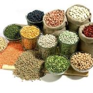 حبوبات مرغوب زیر قیمت عمده