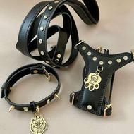 قلاده چرم و پلاک شناسایی سگ و گربه