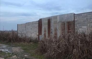 دامداری 70 راسی گاو شیری با مجوز در قائم شهر