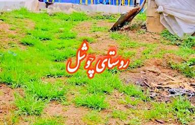 فروش خانه قدیمی 1100 متر در چوشل 