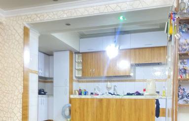 هم خانه خانم