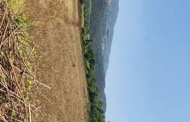 زمین کشاورزی کنار بافت