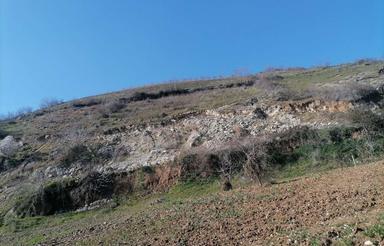 معدن سنگ پلمپ بدون برداشت