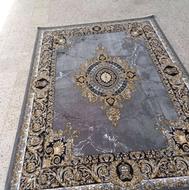 فرش چشم گیر ویهان