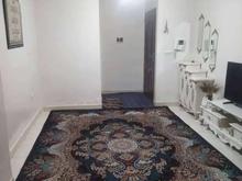 40 متری واقع در گمرک خیابان مرادی در شیپور