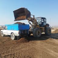 کود دامی پوسیده