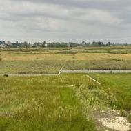 290 متر زمین مسکونی با بهترین لوکیشن در روستای کوهپایه ای