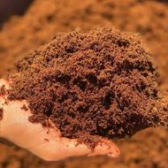 وارد کننده مستقیم کوکوپیت