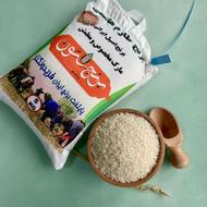 برنج هاشمی اعلای فریدونکنار