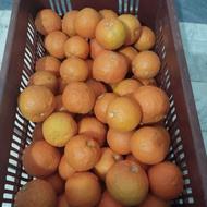 نارنج تمیز و آبدار