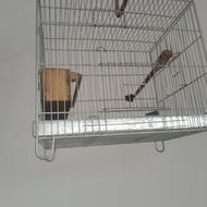 قفس سره سالم