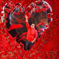 دکورولنتاین/دکورکافه/دکورپاساژ/ولنتاین/کادو/ویترین