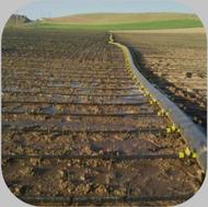 نوار تیپ قطره ای