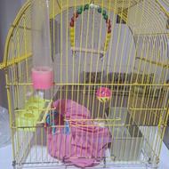 قفس پرندگان