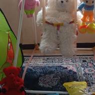 اسباب بازی کاملا سالم